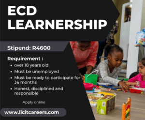 Home - LICIT CAREERS